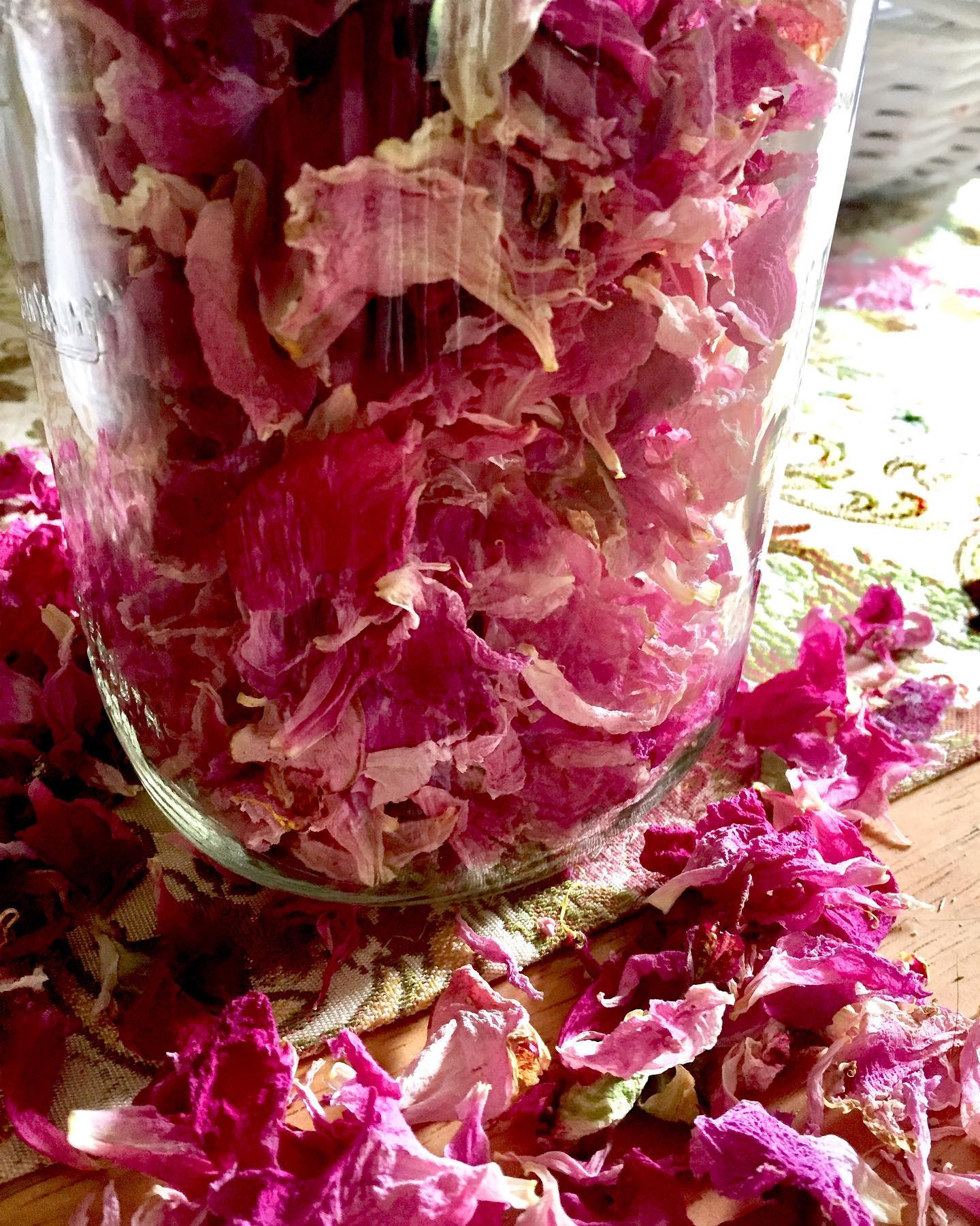 Peony Orange Sugar Scrub
