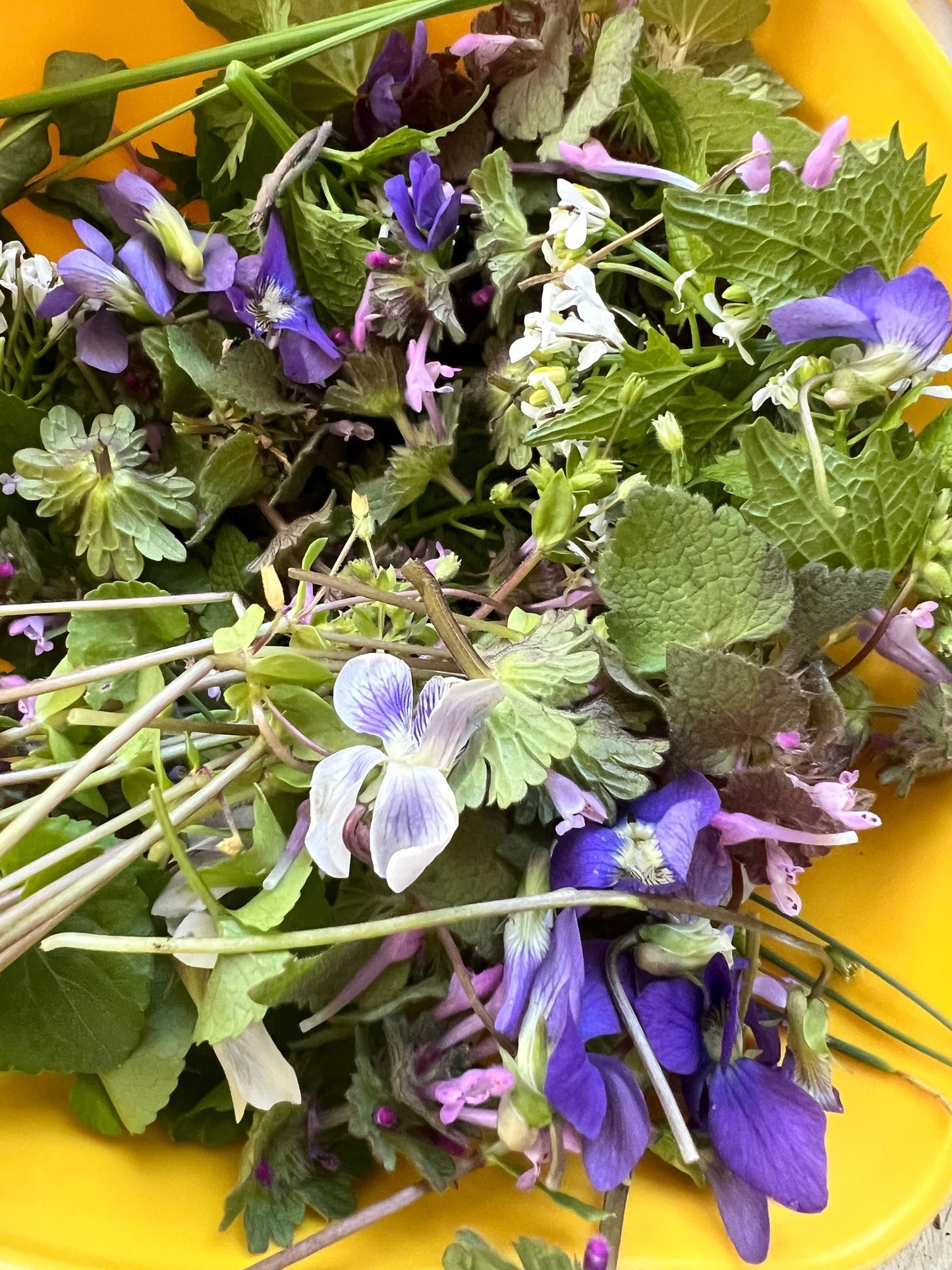 Spring Tonic Tincture