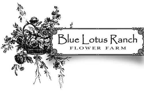 Blue Lotus Ranch