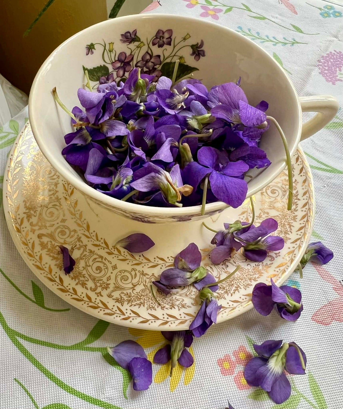 Violet Flower Jelly